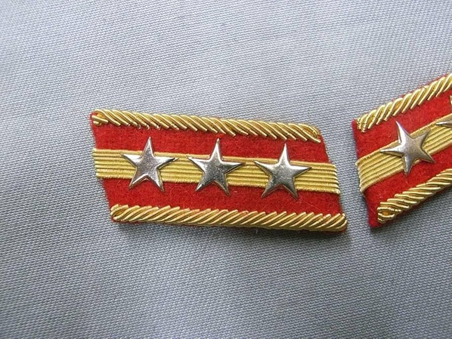 親衛隊全国指導者用　SS襟章レプリカ Amazon.co.jp: レプリカ ドイツ軍 親衛隊 黒服 将官 肩章 第二次